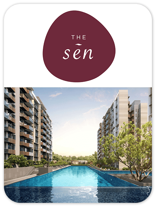 THE SEN project information